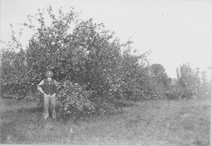 Andrew Peterson in front of his apple orchard