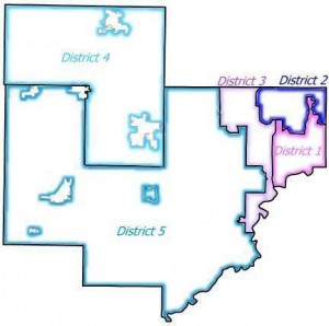 Carver County District map